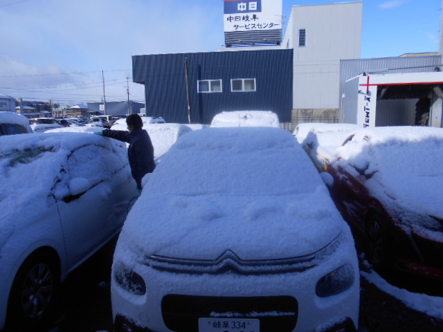 雪が降りました