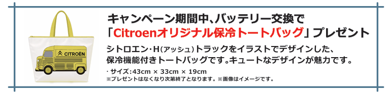 【今ならプレゼントも🎁】
